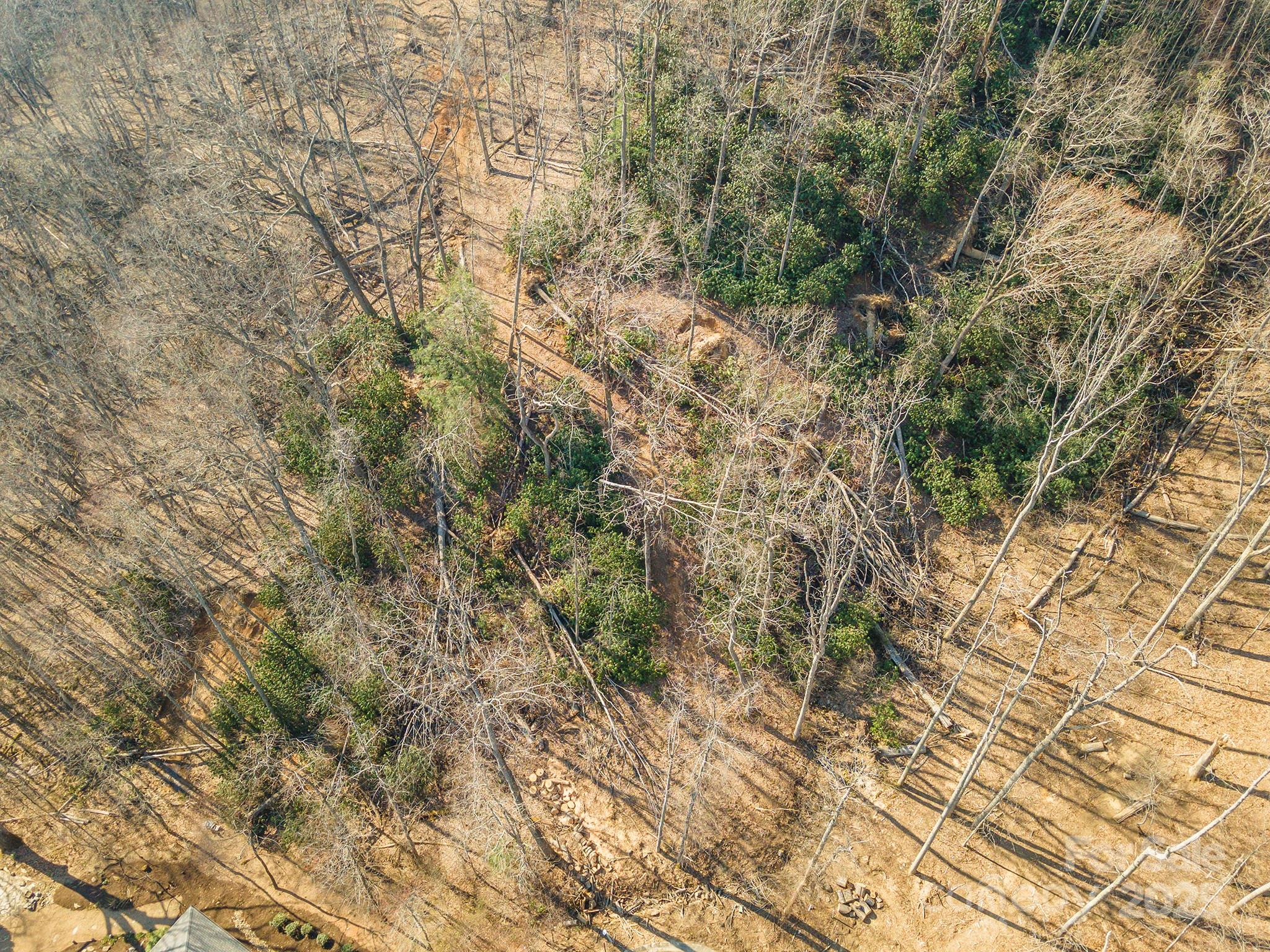 Carriage Park - Land