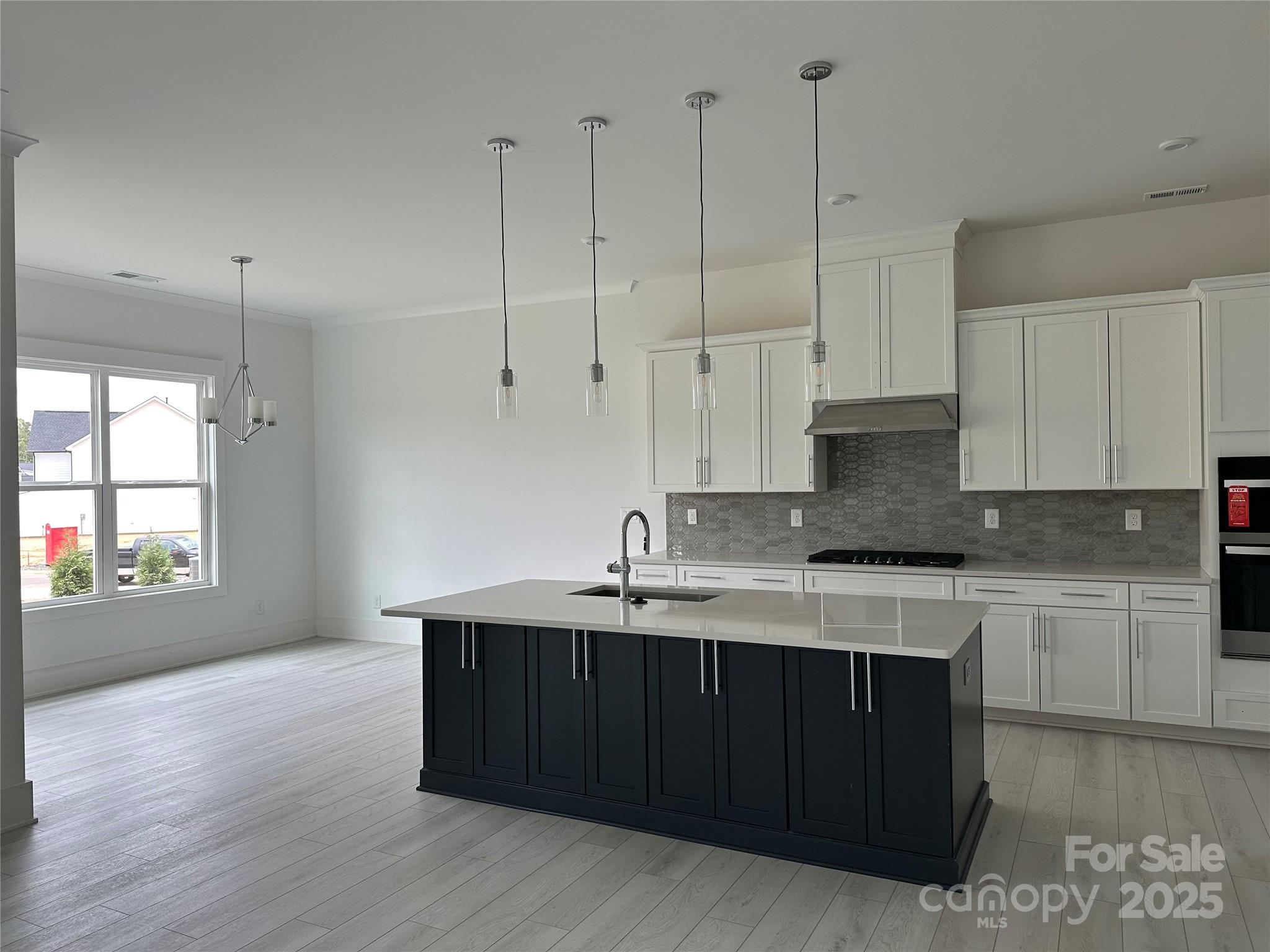 5209 Mint Harbor Way 0352