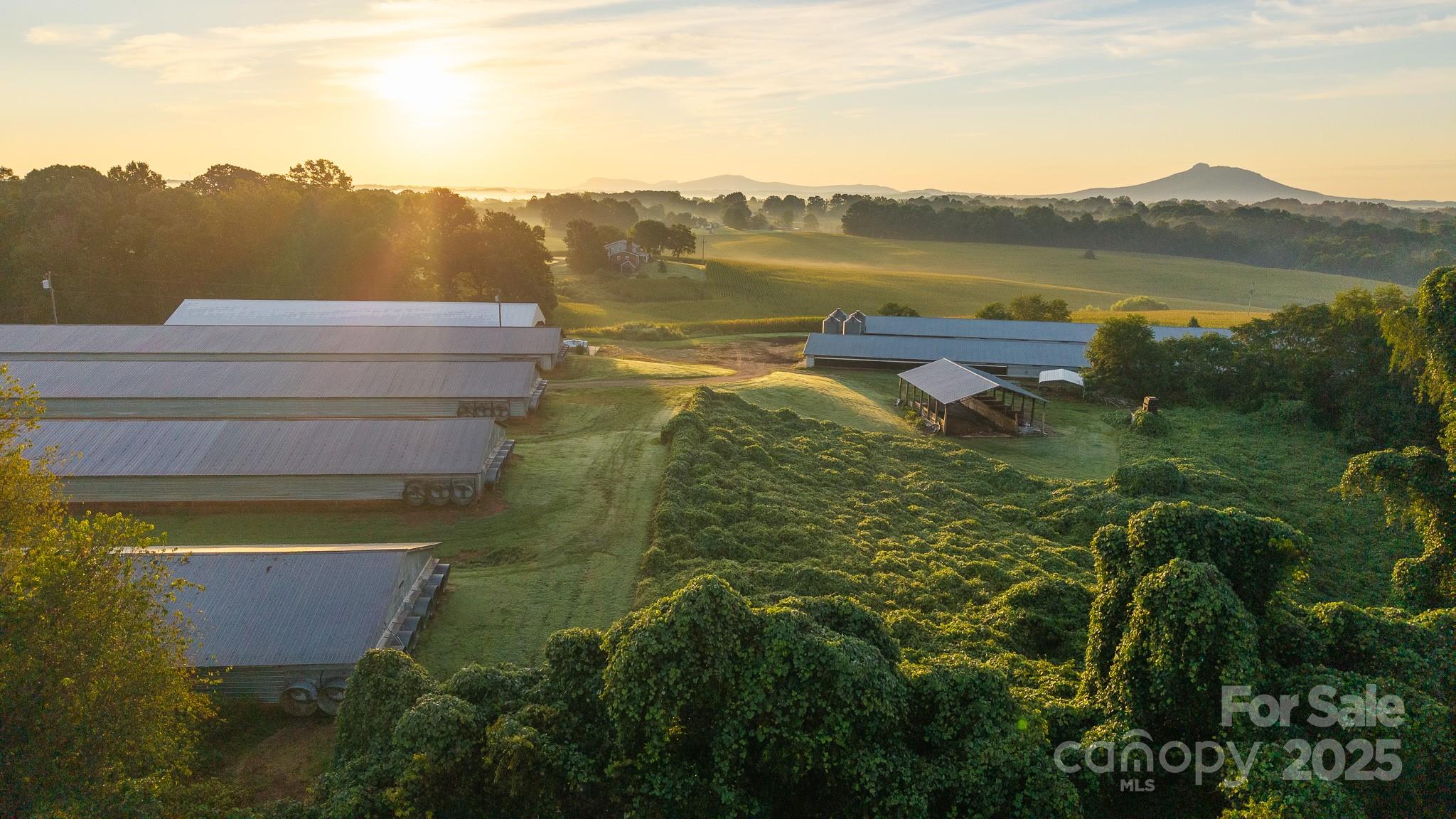 167 Buck Hollow Trail