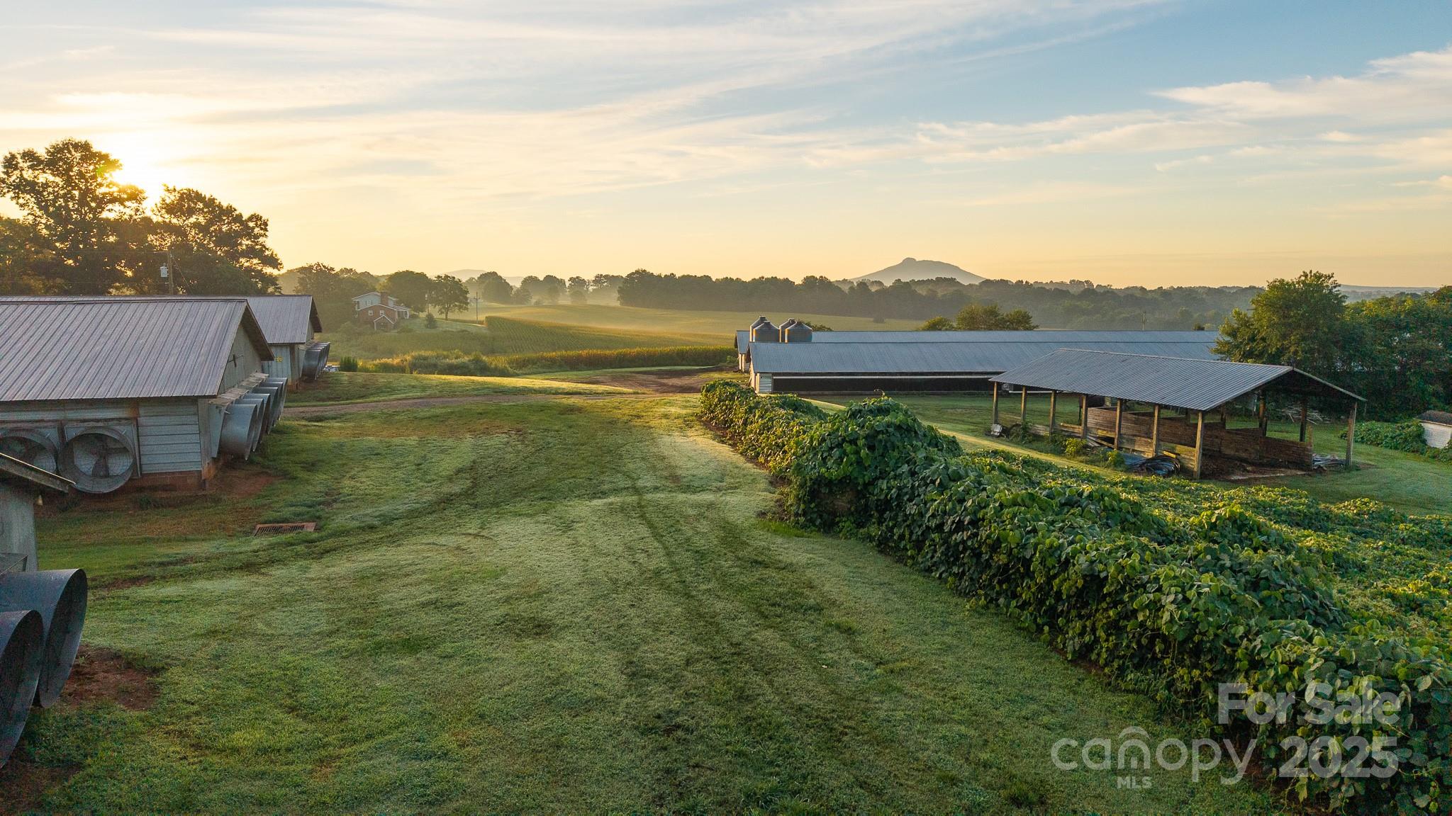 167 Buck Hollow Trail