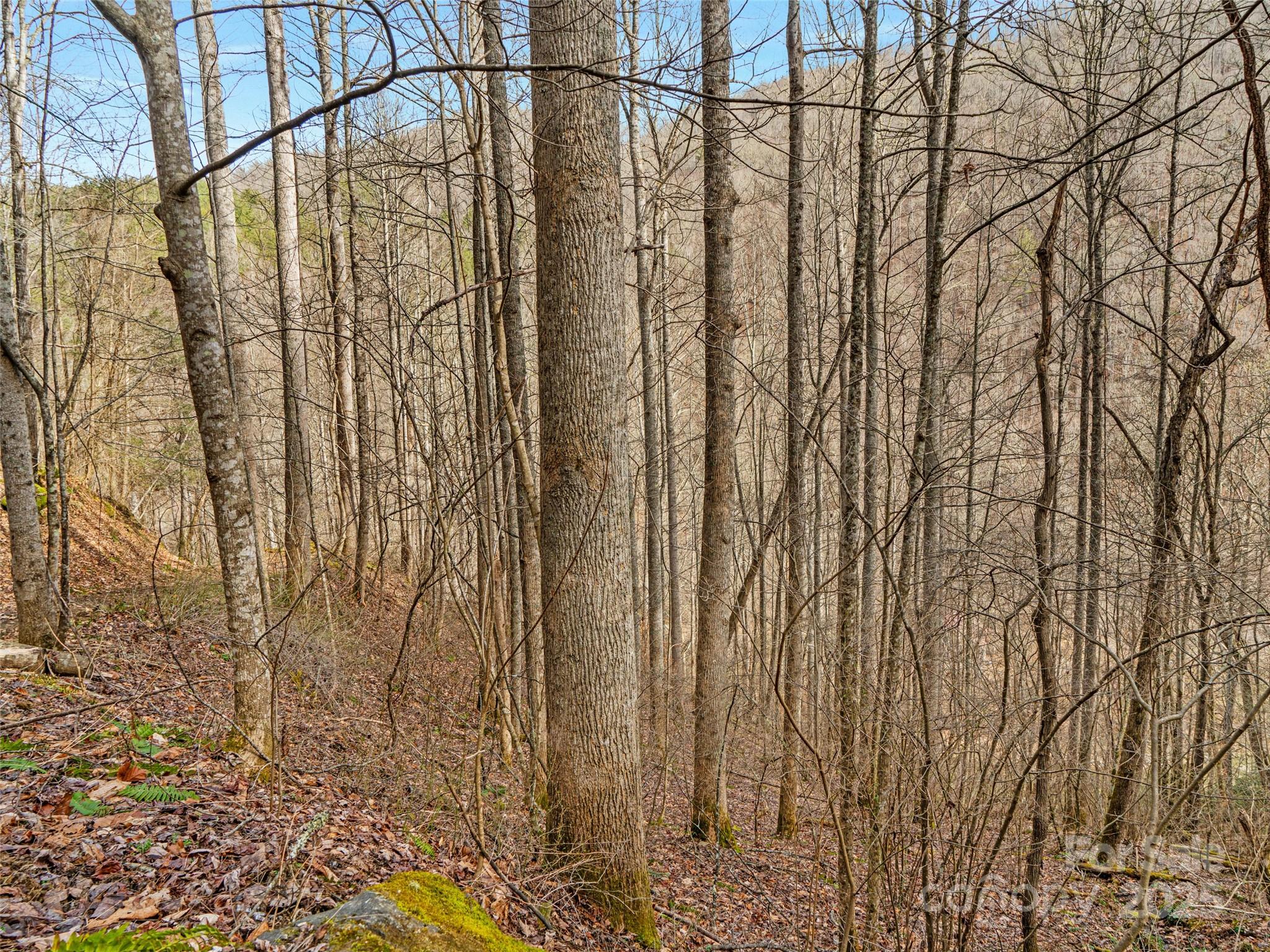 0 Sugarloaf Mountain Estates 3, 21 & 32