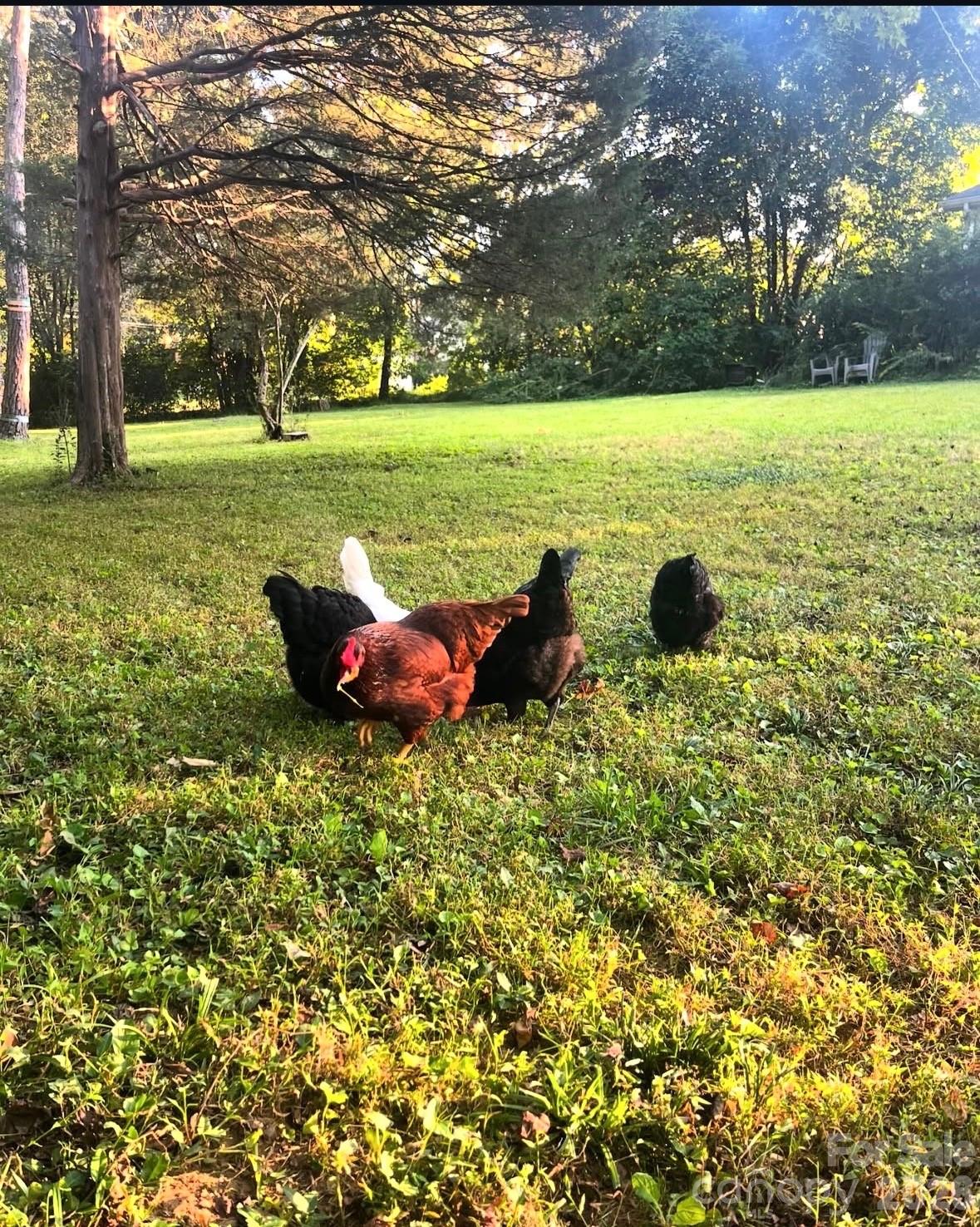 Olde Providence - Residential