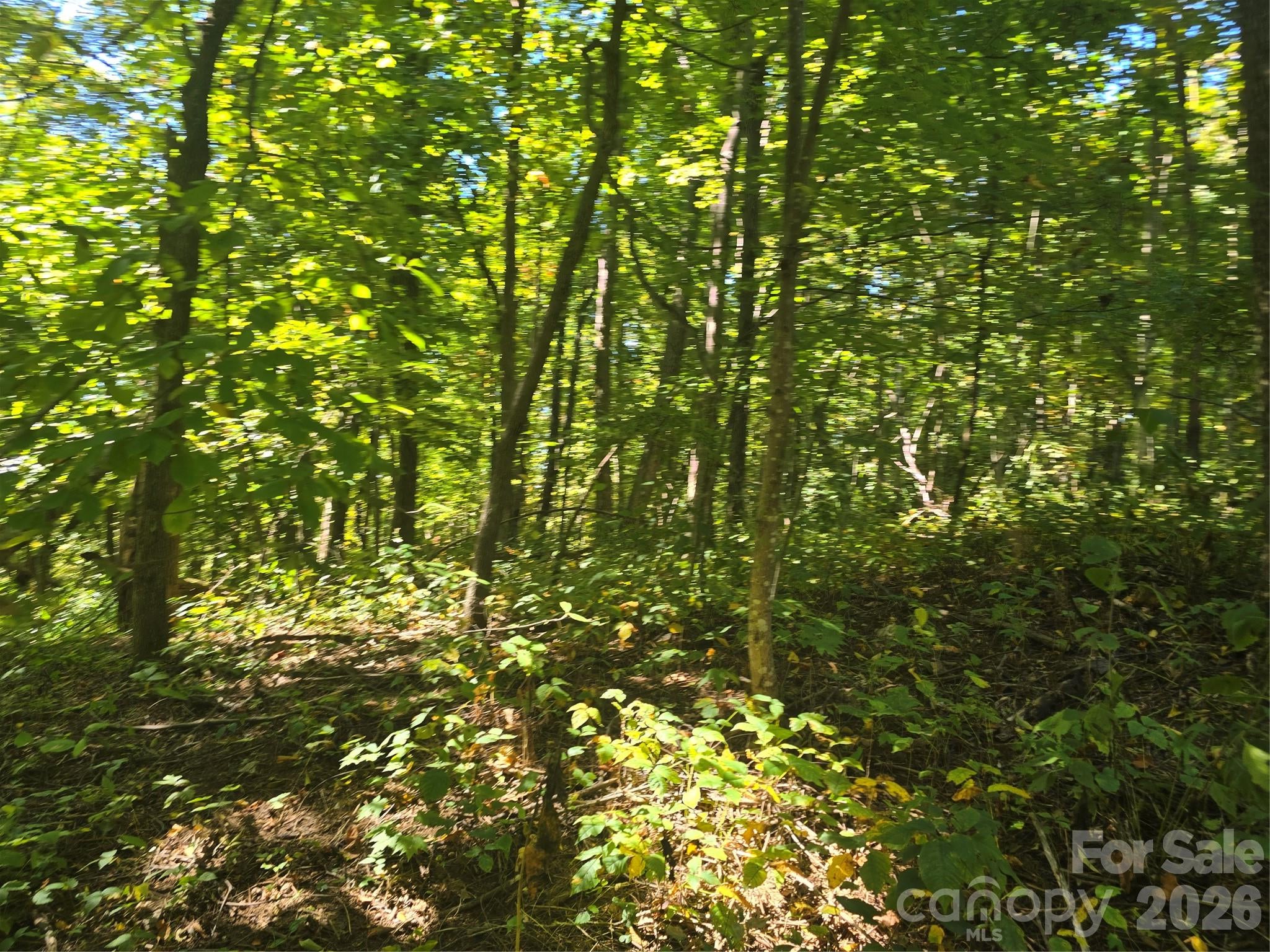 99999 Fawns Rest Trail 6