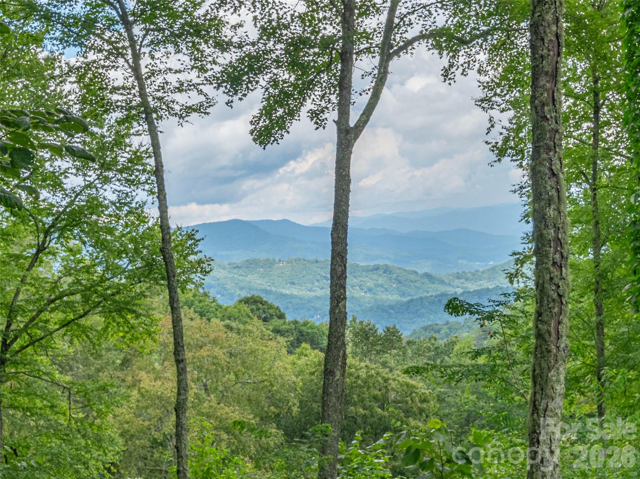 332 Gadohi Trail