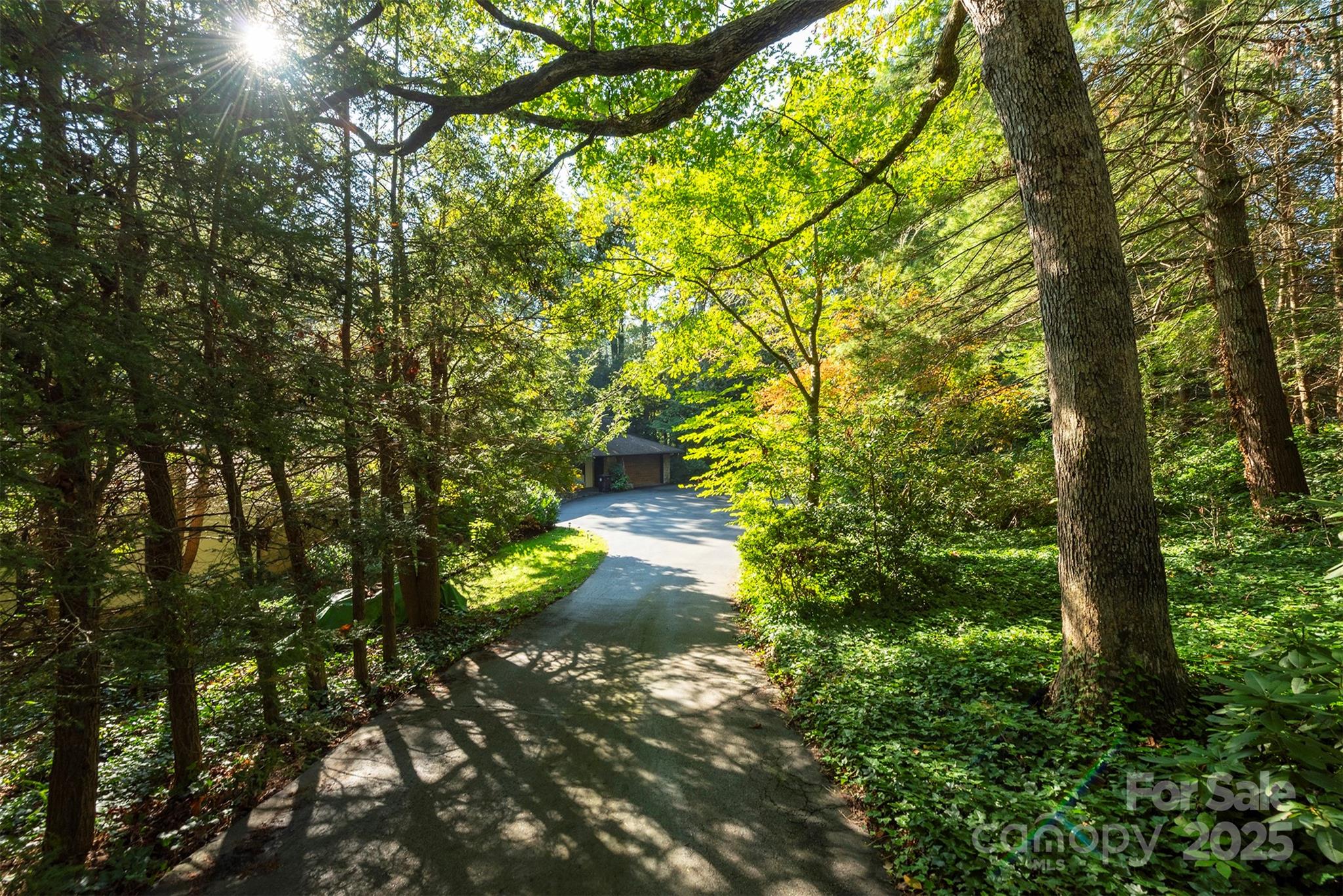 18 Forest Road