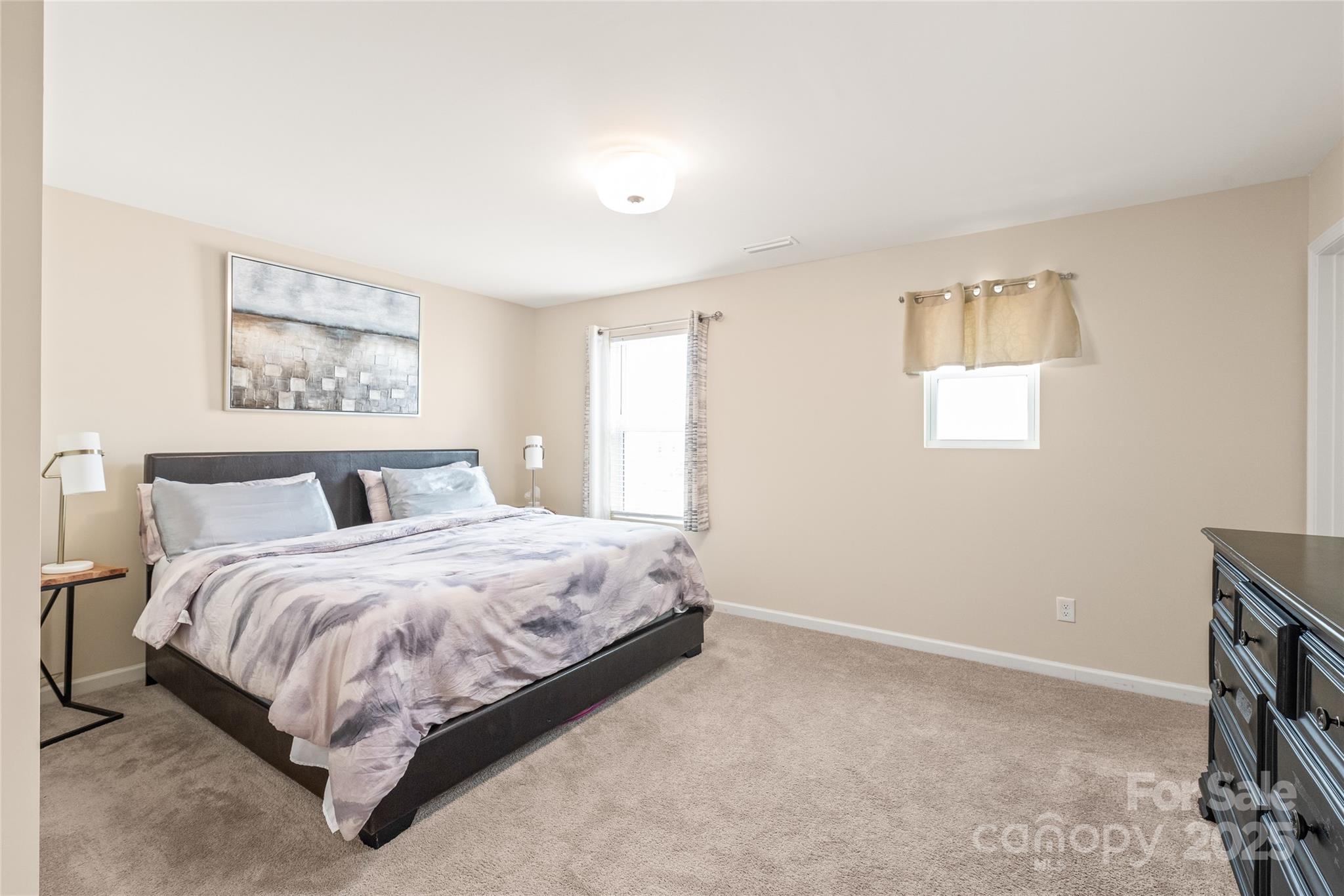 13221 Gadwal Pintail Drive