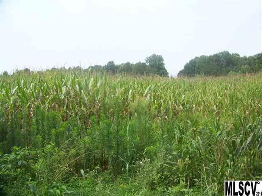 Excellent hunting property! This 79+ acres is over flowing with an abundance of wildlife. Private & secluded. Small creek crosses property on both tracts. Perfect to build your home and have a great life in the country! Near Love Valley and horse riding trails. Creek on property!