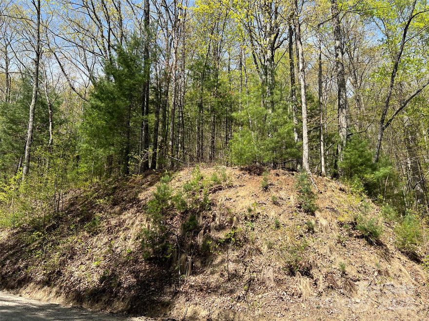 Mountain paradise! This 4.98-acre vacant land boasts a mountain elevation of 3446 ft and offers long range winter views. Year round views possible with some tree trimming. The steep/sloping terrain provides a unique opportunity for architectural creativity. With a graded house pad and septic already installed, building your dream home is a breeze. A new 2023 survey ensures accuracy, and easy access from the community road makes this property even more enticing. Don't miss your chance to own this slice of mountain heaven! Short drive to Highlands, Cashiers and Franklin.