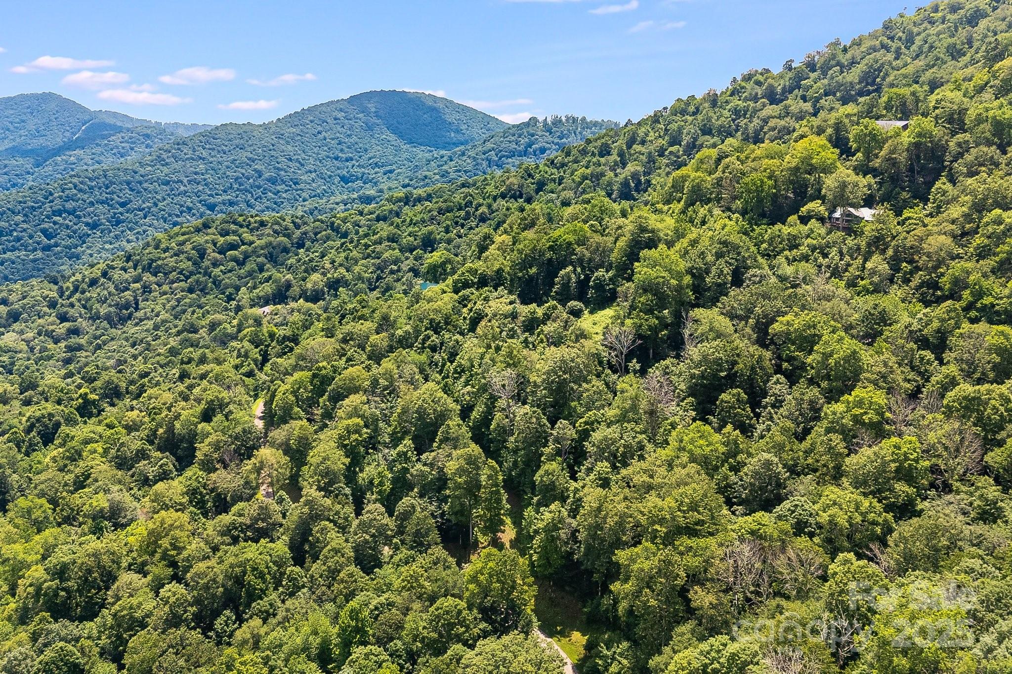 The Preserve at Wolf Laurel - Land