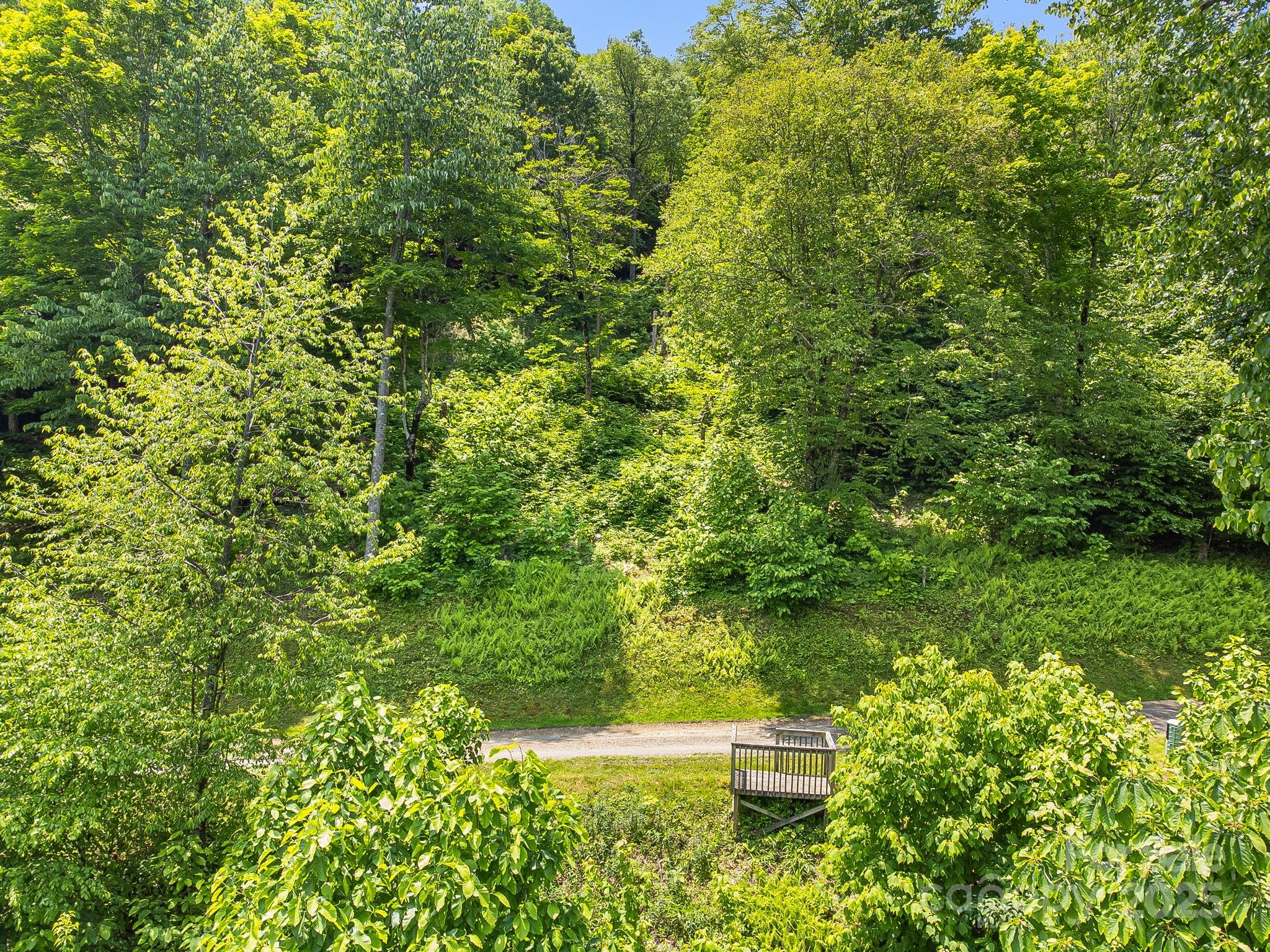 The Preserve at Wolf Laurel - Land