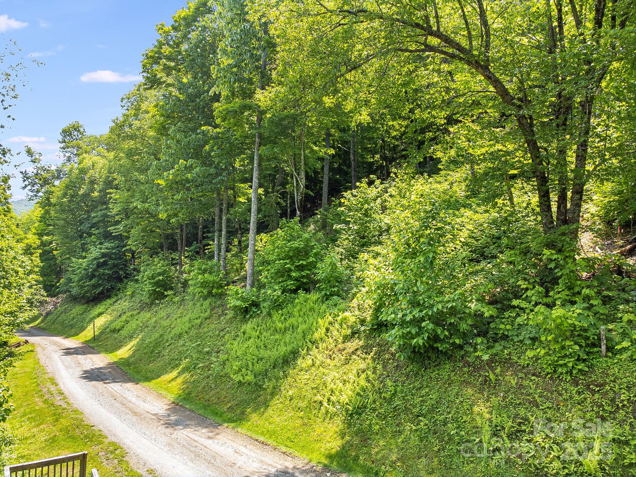 The Preserve at Wolf Laurel - Land