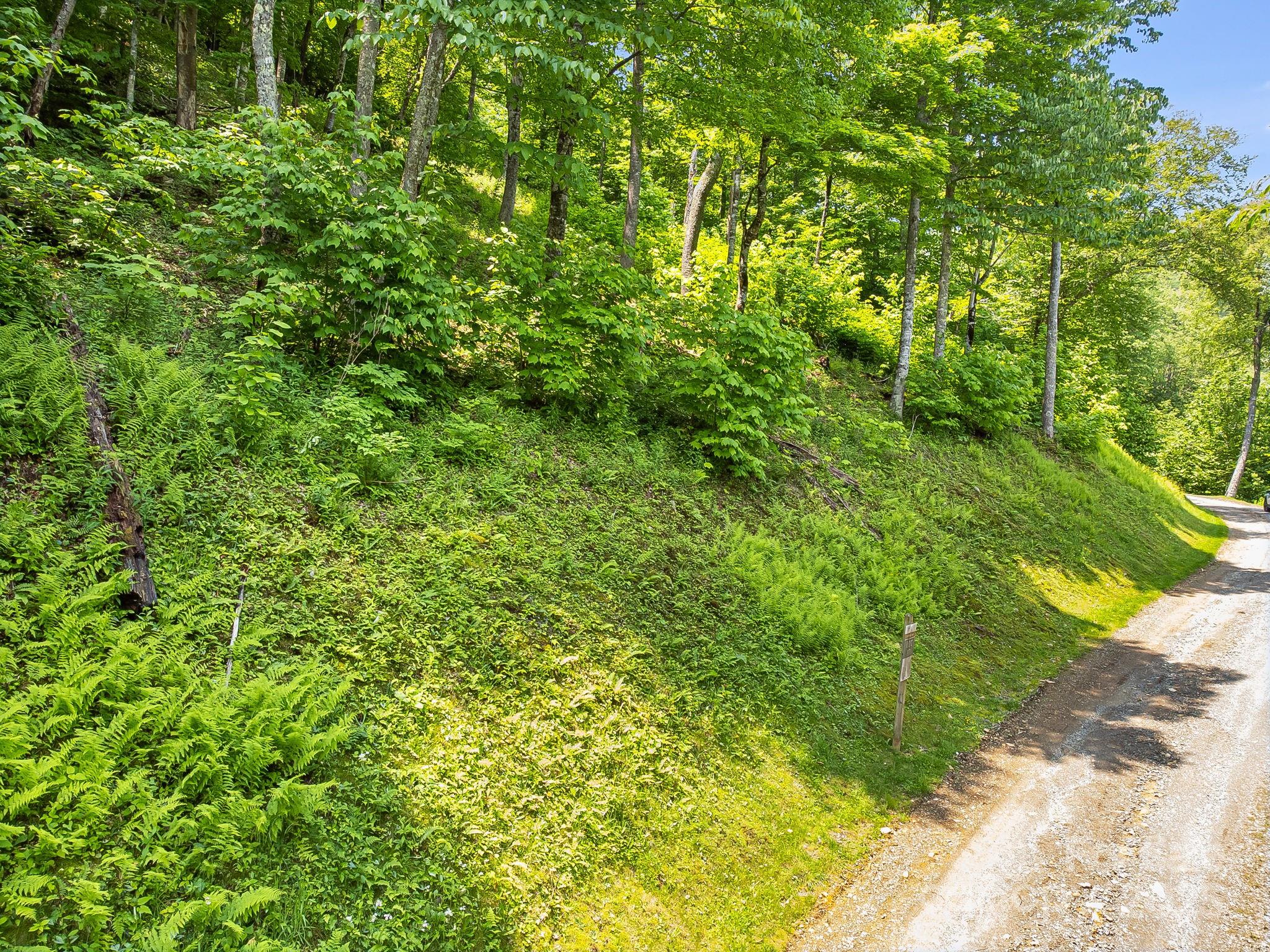 The Preserve at Wolf Laurel - Land