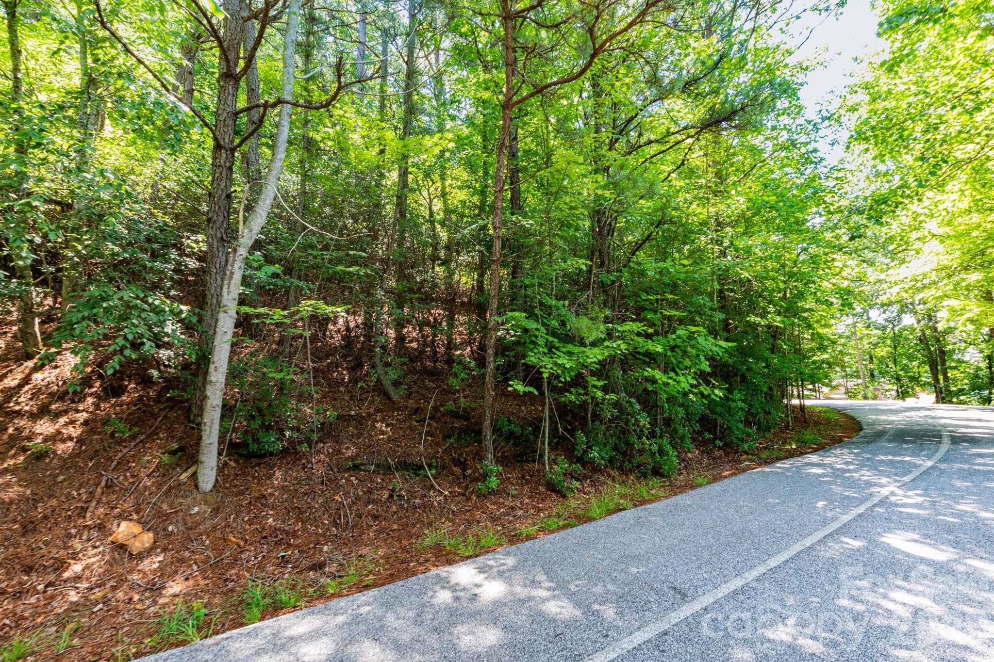 50 Cedar Drive