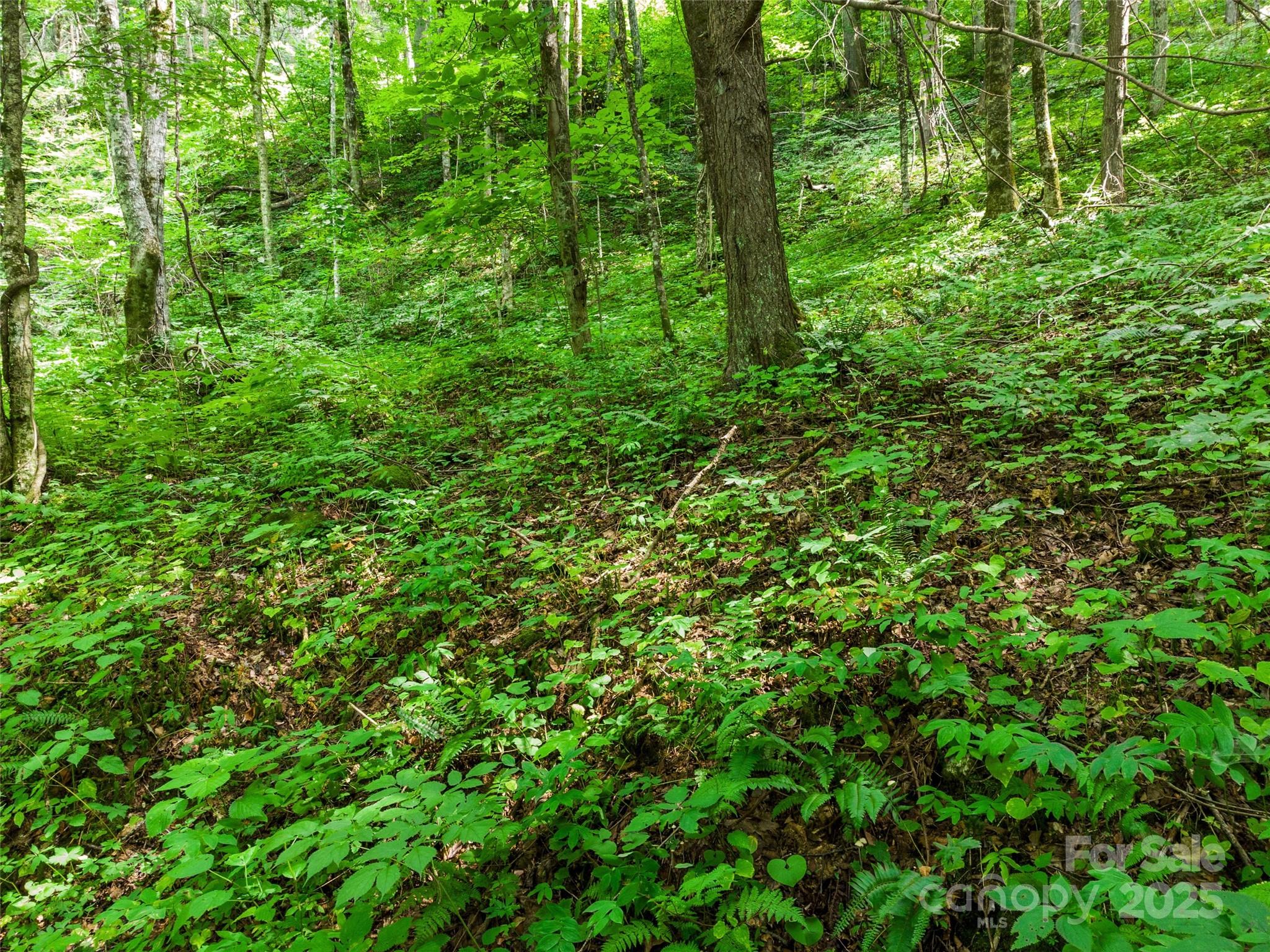 00 Old Sawmill Road