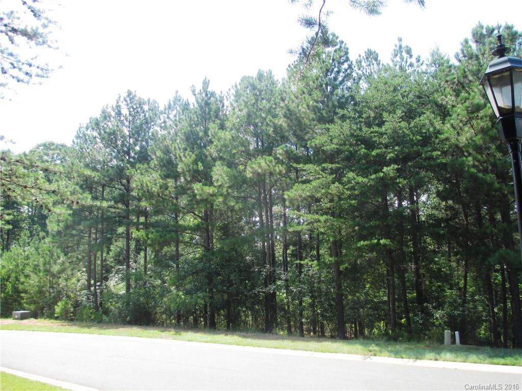 Reflection Pointe - Land