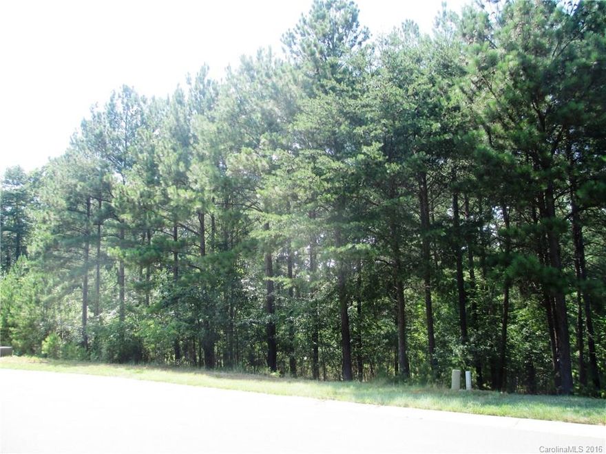 Interior Lot in beautiful gated community. Close to clubhouse, pool and tennis courts.  Offers all city services including city water and city sewer. Natural gas is available too.
Belmont schools.  Other amenities are access to Lake Wylie, walking trails, recreational areas, playground.
You will be proud to build your custom home in this wonderful neighborhood.