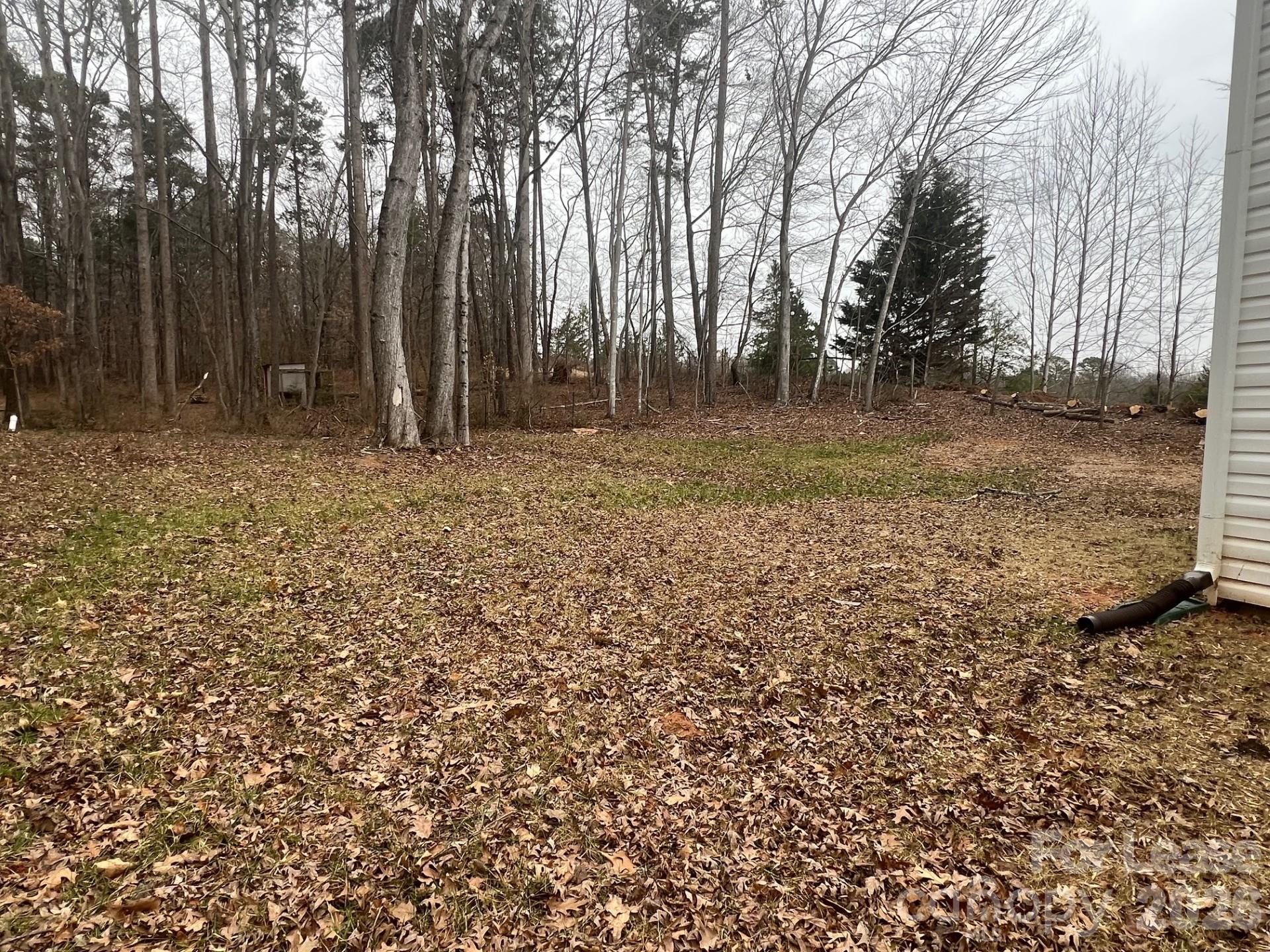 None - Residential Lease