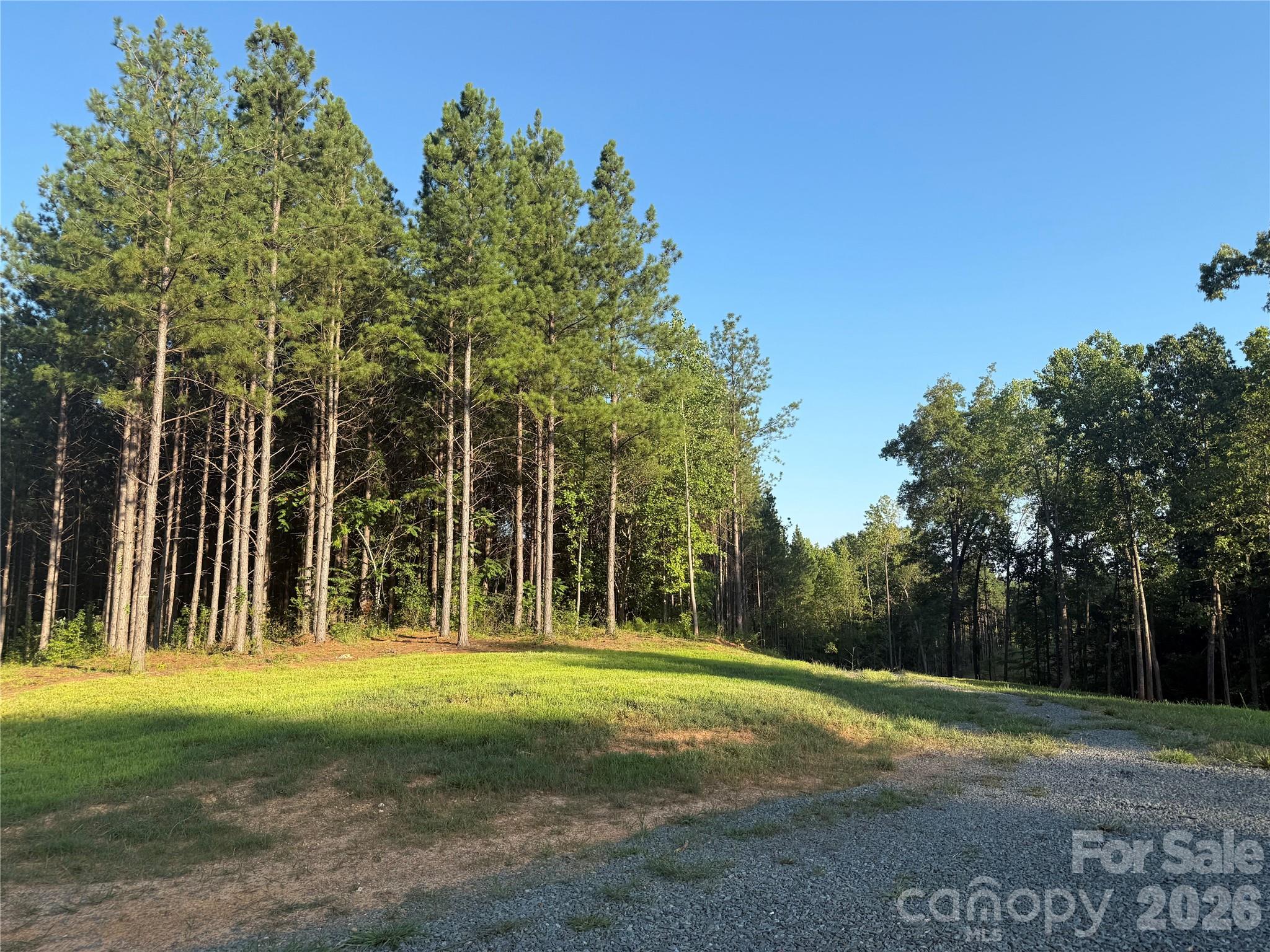 10320 Fink Road 2