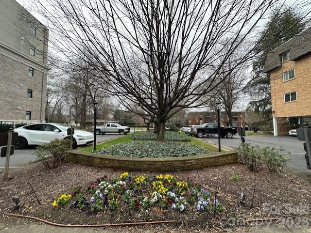 Charlotte House - Residential