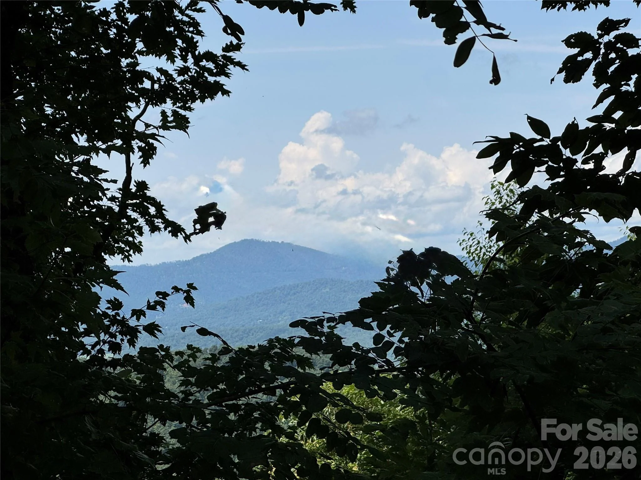 352 High Hickory Trail Unit 20, Swannanoa, NC, 28778
