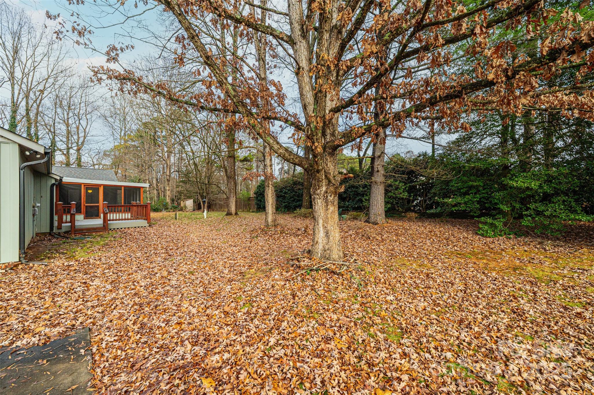 North Pines - Residential