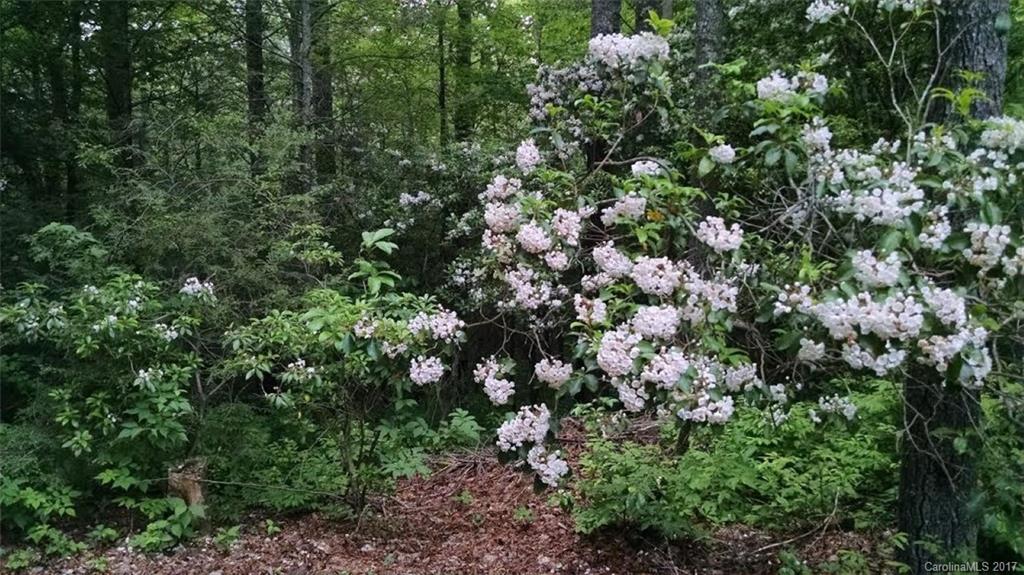 Burlingame - Residential