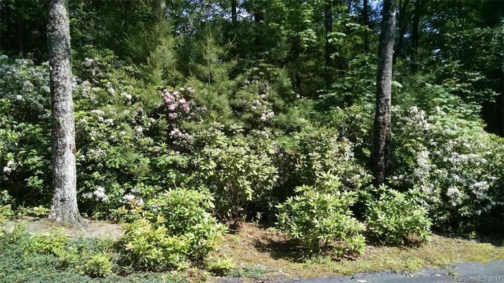 Burlingame - Residential