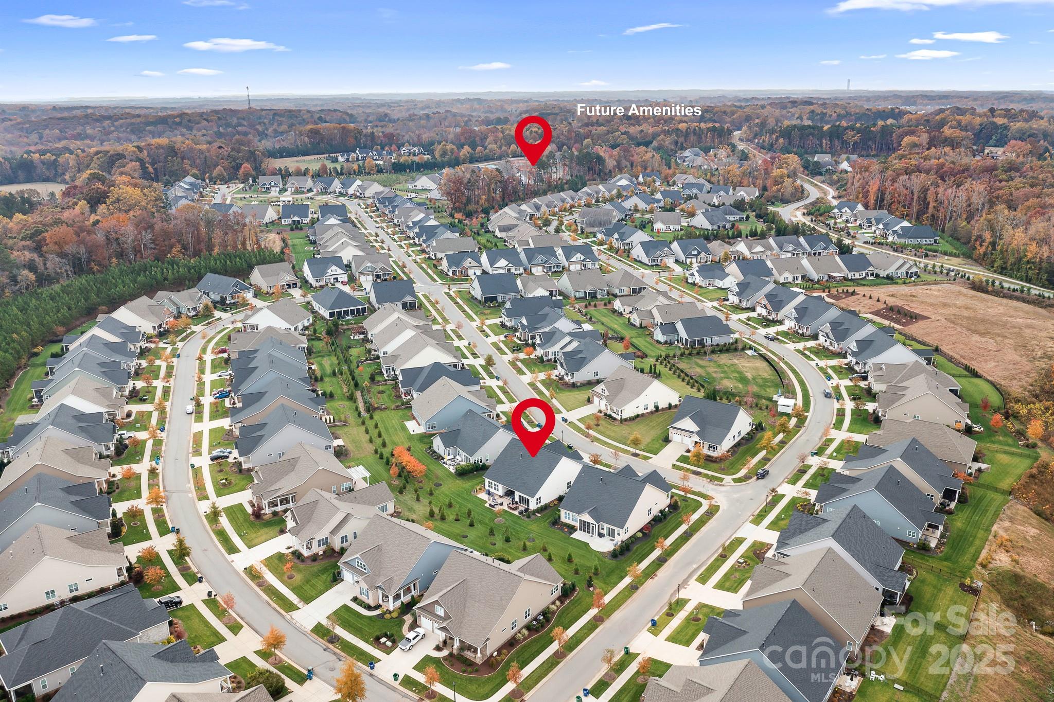 20013 Molly Harper Drive