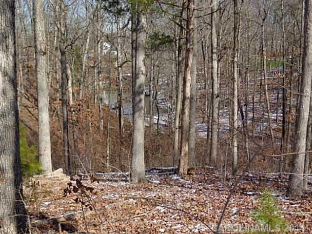 Liberty Hill Pointe - Land