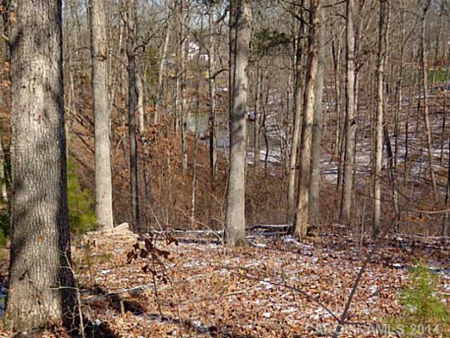 Liberty Hill Pointe - Land