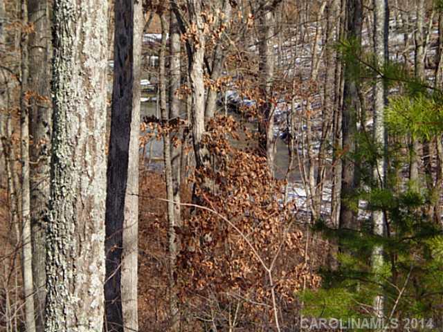 Liberty Hill Pointe - Land