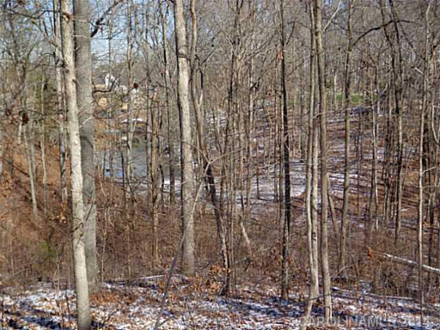 Liberty Hill Pointe - Land