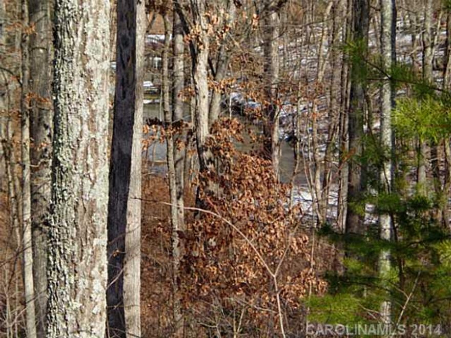 A great opportunity to enjoy Lake Wylie at a great price.  Nice waterfront canoe lot with Lake Access and pretty  high views of the lake.  Slope for a crawl or walk out basement, lots of hardwood trees.  Excellent location between Lake Wylie, Newport, and Rock Hill.  20 minutes to Charlotte and Clover Schools! Have our builder give you a quote for your dream house.