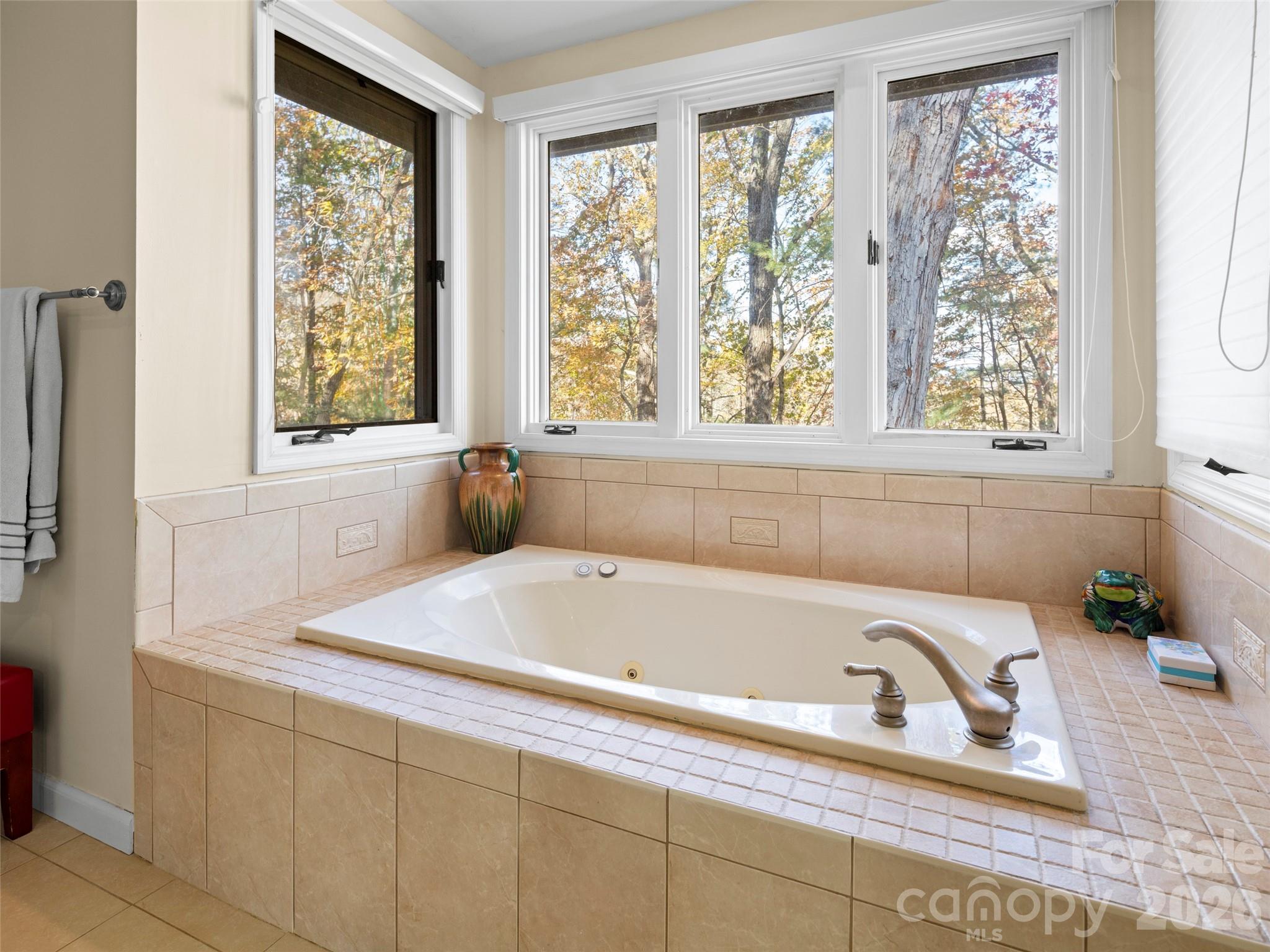 Blake Mountain Estates - Residential