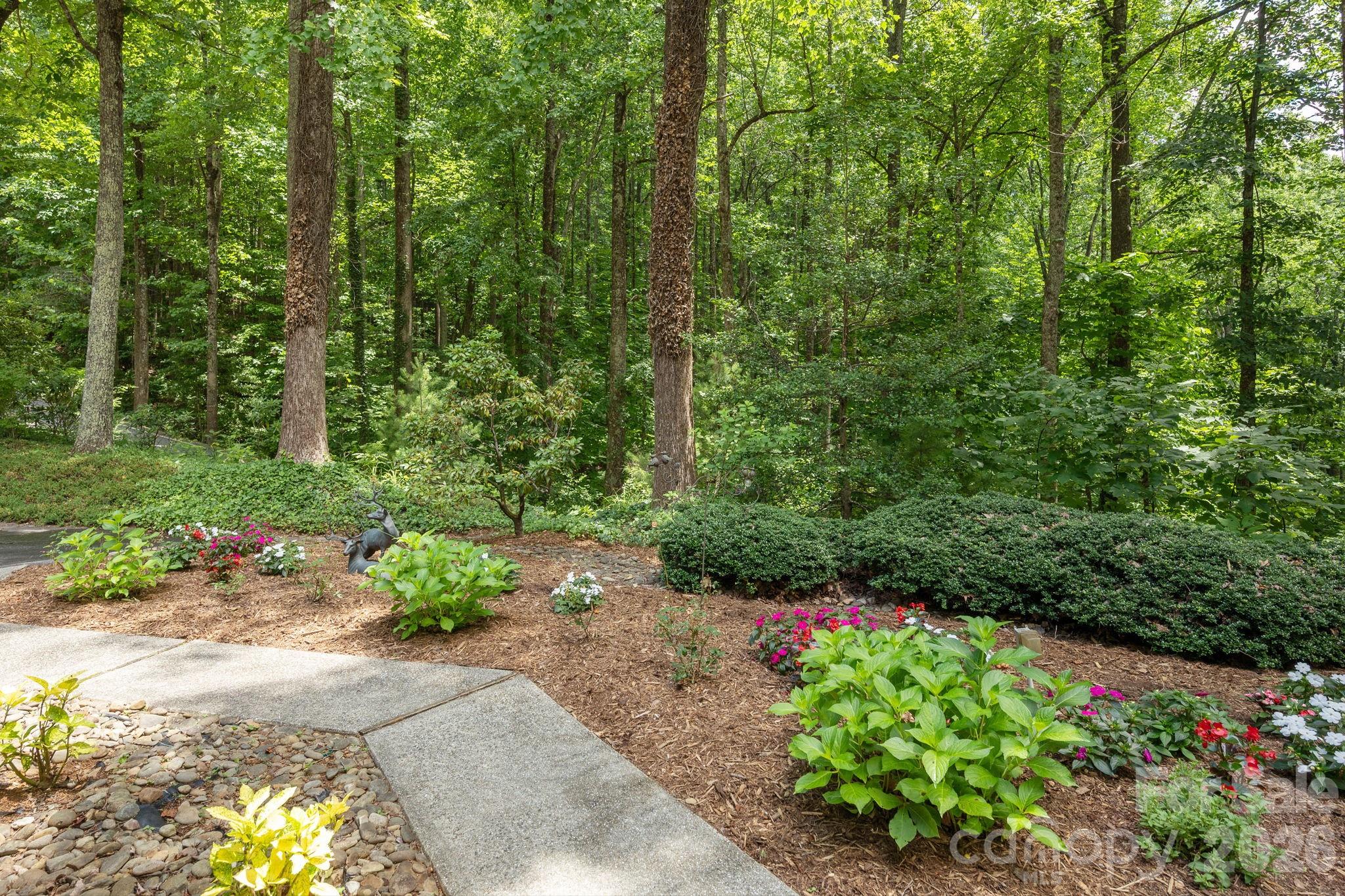 117 Tarnhill Drive