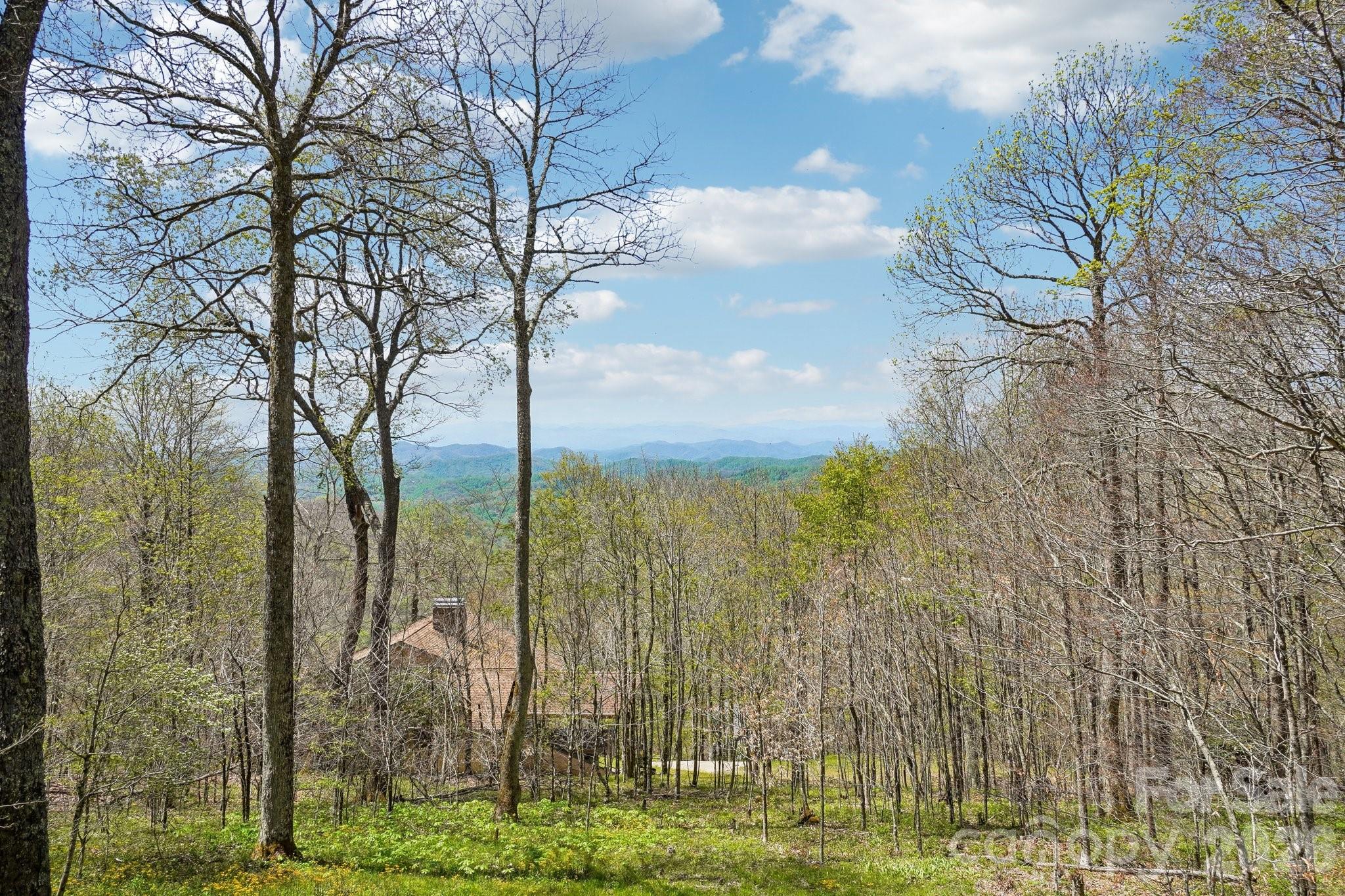 Wolf Laurel - Residential