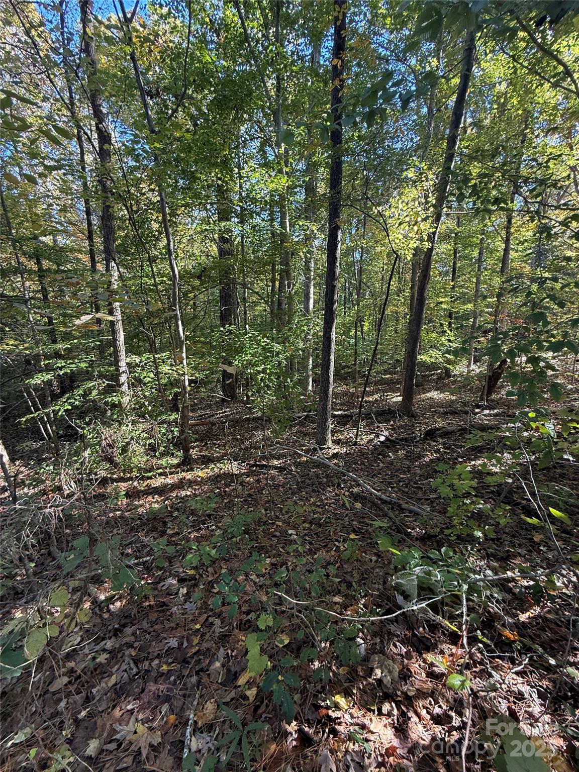 00 Southwinds Court 24