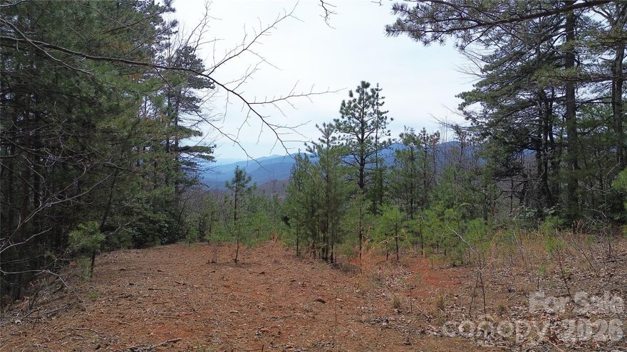 iscover the perfect blend of privacy, natural beauty, and opportunity on this 5.96-acre homesite in the sought-after Gateway Mountain community. With ample space to design your ideal layout, the property includes an existing gravel and dirt access path leading toward a private, buildable area—offering a helpful starting point for your future plans.

Surrounded by the scenic mountain views the community is known for, you’ll enjoy a peaceful setting immersed in nature. Gateway Mountain offers desirable amenities, including a community lake as well as hiking trails that lead to the picturesque Waterfall Park.

Ideally located just 25 minutes east of Black Mountain, 40 minutes to Asheville, and 35 minutes to Lake Lure, this property strikes the perfect balance between seclusion and accessibility.

Whether you're ready to build now or looking to invest for the future, this property is a wonderful opportunity to own a piece of Western North Carolina’s mountain landscape.