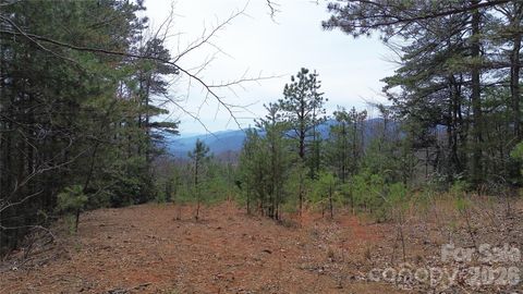 850 Harmonys Edge Drive 850 Old Fort NC 28762