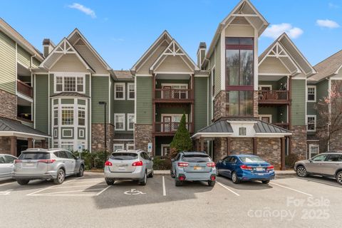 1000 Olde Eastwood Village Boulevard 307 Asheville NC 28803