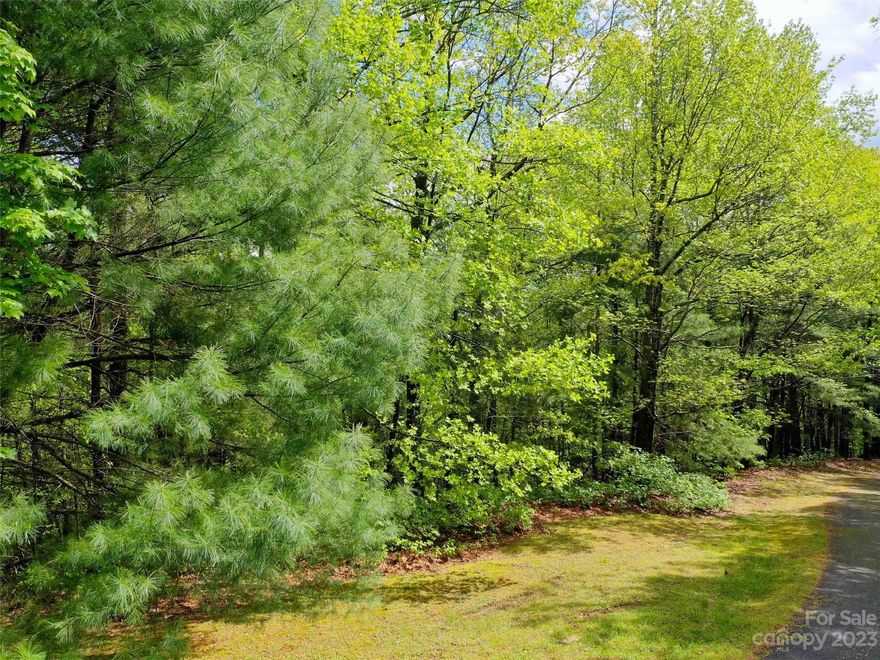 Looking for a perfect lot to build your dream home here in the Saluda Mountains?  This gently sloping lot is a hidden gem and is just a few minutes to downtown Saluda.  Take advantage of the private pond that is part of the Dun-Roamin subdivision.  Located close to I-26 and US-25, this 1 acre lot would make a perfect opportunity to build a permanent residence or a mountain get-a-way!  Saluda is home to many great restaurants, the Green River, great hiking and entertainment!  Don't miss out on this great lot!