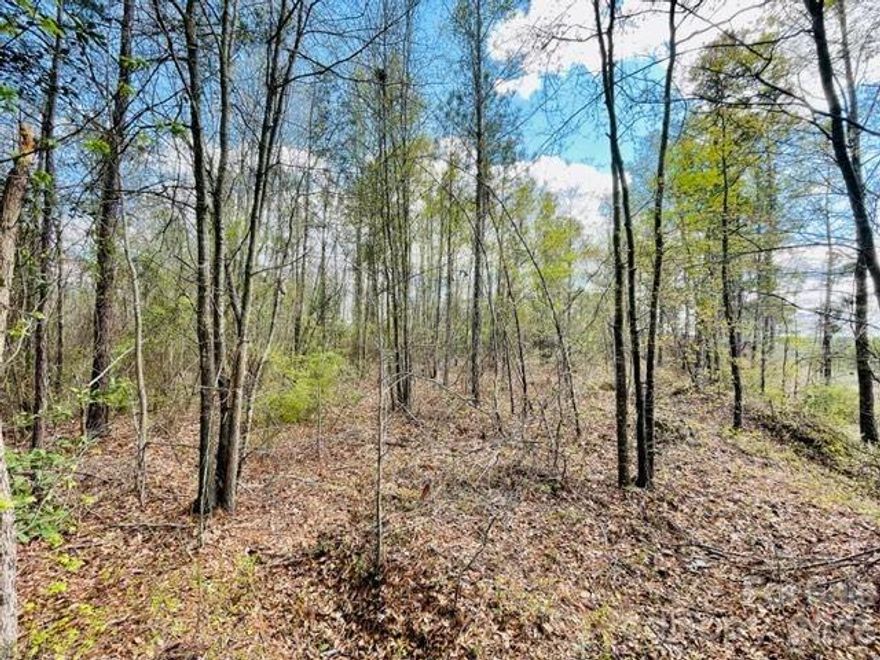 This brand-new listing offers a fantastic opportunity to own 4.49 acres unrestricted just off the Truck Roue Bypass of Hwy 52/1 South. Whether you're seeking land for residential or commercial purposes, this property is ripe with potential.

Nearly 1,600 feet of paved road frontage provides excellent access and visibility, while the cleared homesite on the western end offers a generous building area ready for development. And there is ample room on eastern side of land for a possible manufactured home. Despite the unique shape of the property, the layout is highly usable with natural privacy and easy entry.

Ideal for residential build, mobile home, or commercial use
Convenient access to downtown Cheraw, shopping, and highways
No zoning restrictions – flexibility for your plans

This is your chance to secure a versatile property in a growing area. Whether you're building, investing, or setting up a business, this land is ready to work for you!