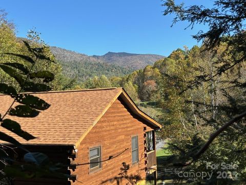 Photo of 408 Dora Lane, Bakersville, NC 28705 (MLS # 4311694)