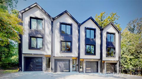 Photo of 156 Mattoon Street, Charlotte, NC 28216 (MLS # 4374373)