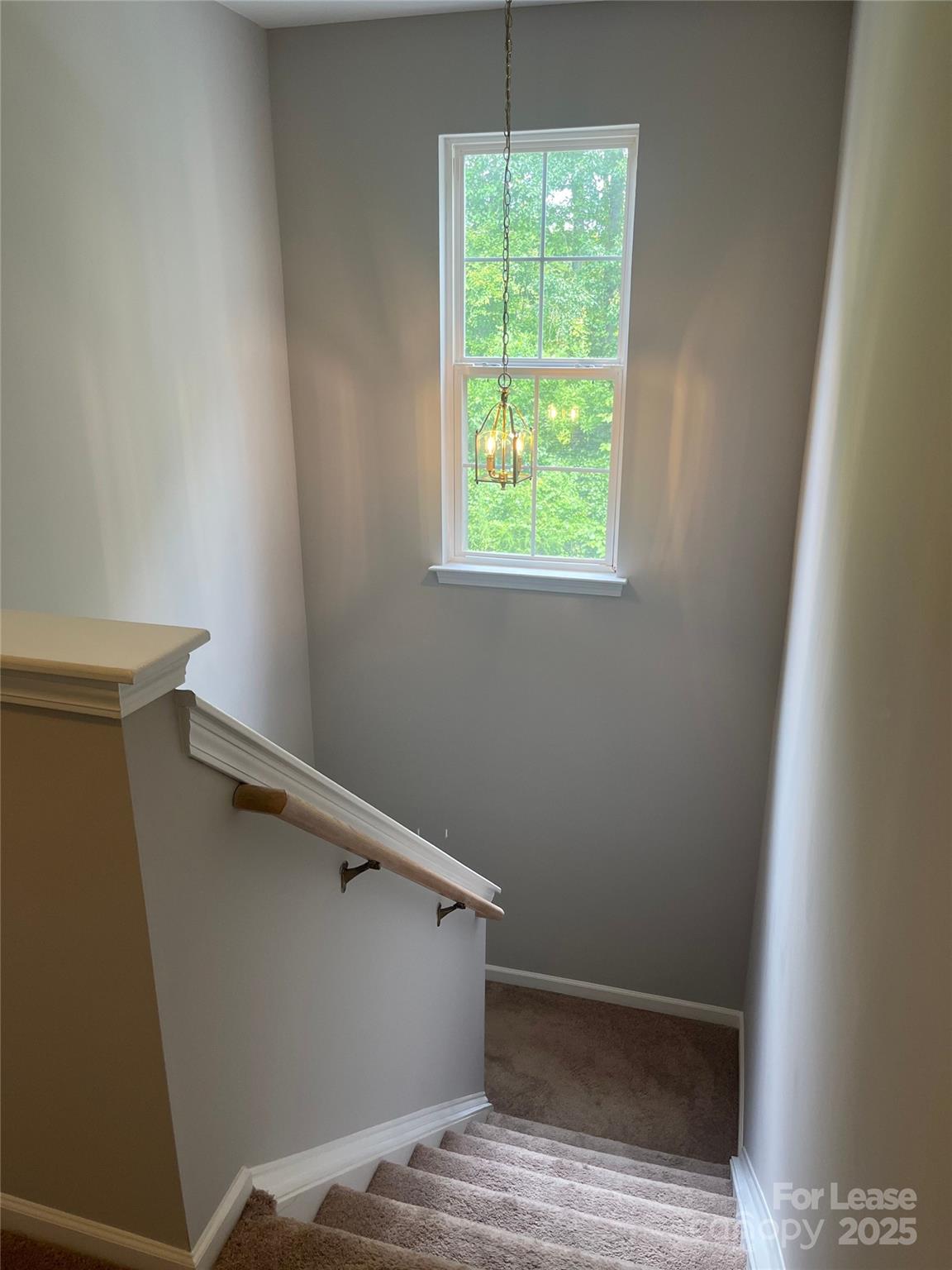 Towne Meadows - Residential Lease