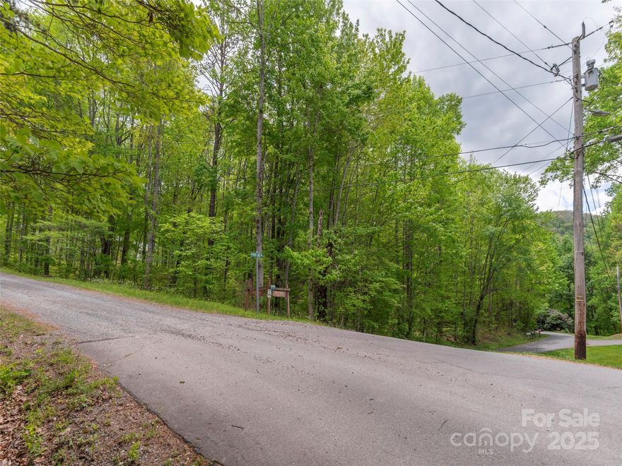 This beautiful wooded residential lot is located in a established subdivision called Shadow Woods. Just 15 minutes from downtown Waynesville, this lot is truly a gem. The main road in Shadow Woods to reach this lot are paved and well maintained while Hoot Owl Ridge is a gravel surface. Take time to explore this one in your search for your own mountain oasis! Easily walkable and easy to navigate.