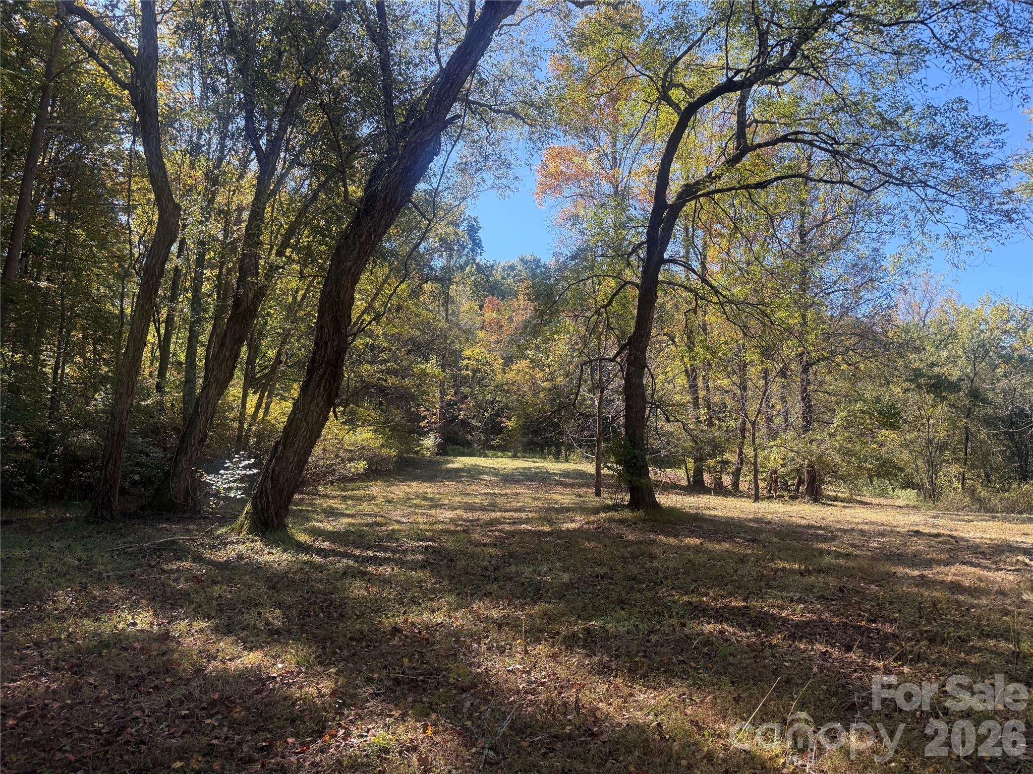 00 Meadows Station Drive 4