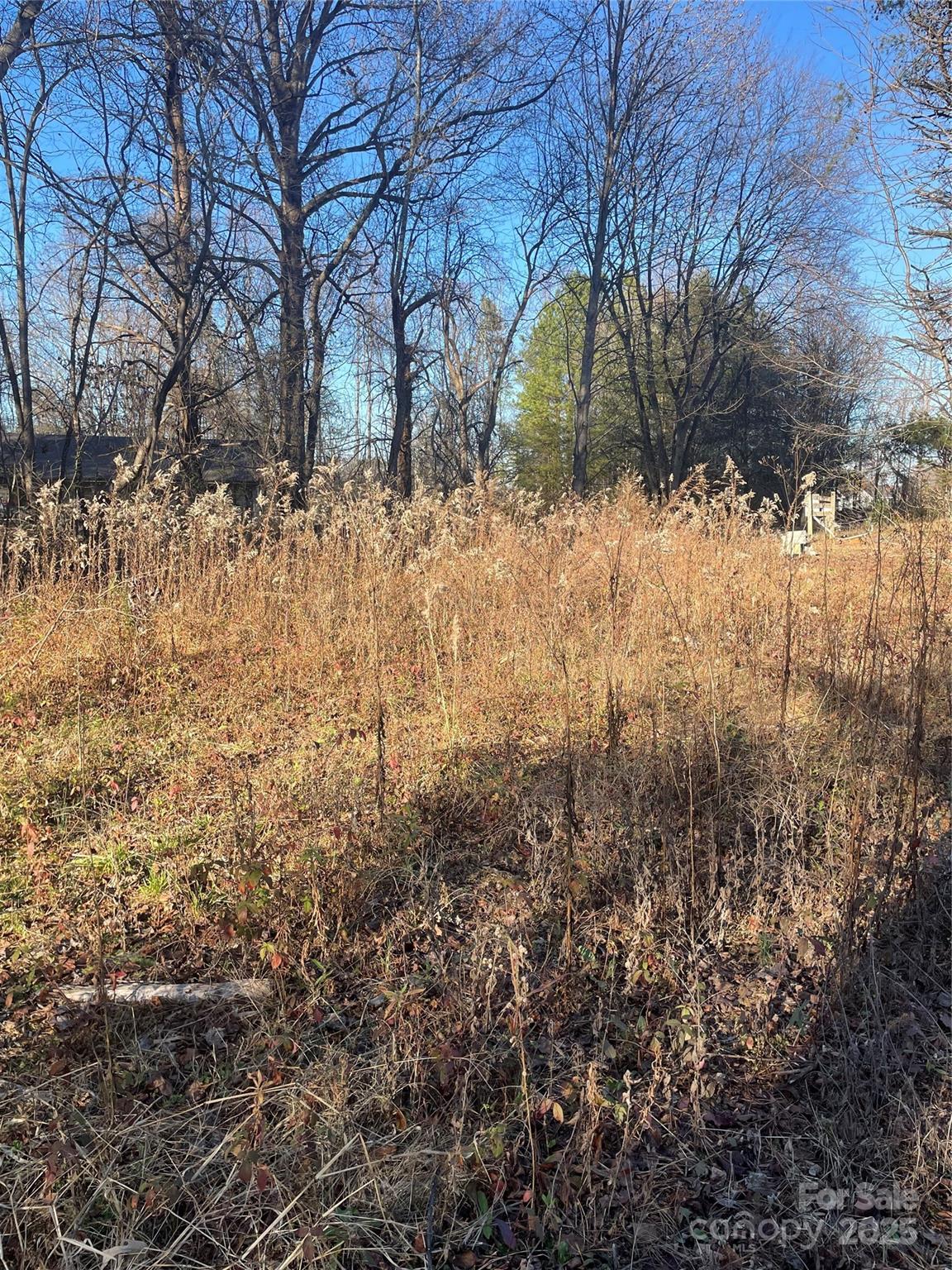 Lighthouse Point - Land