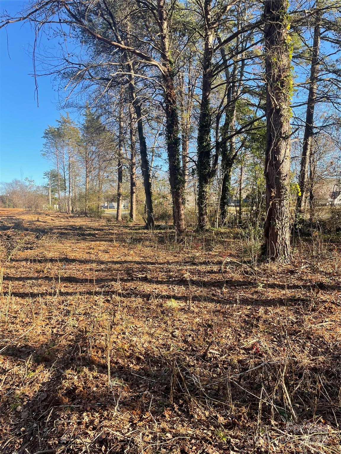 Lighthouse Point - Land