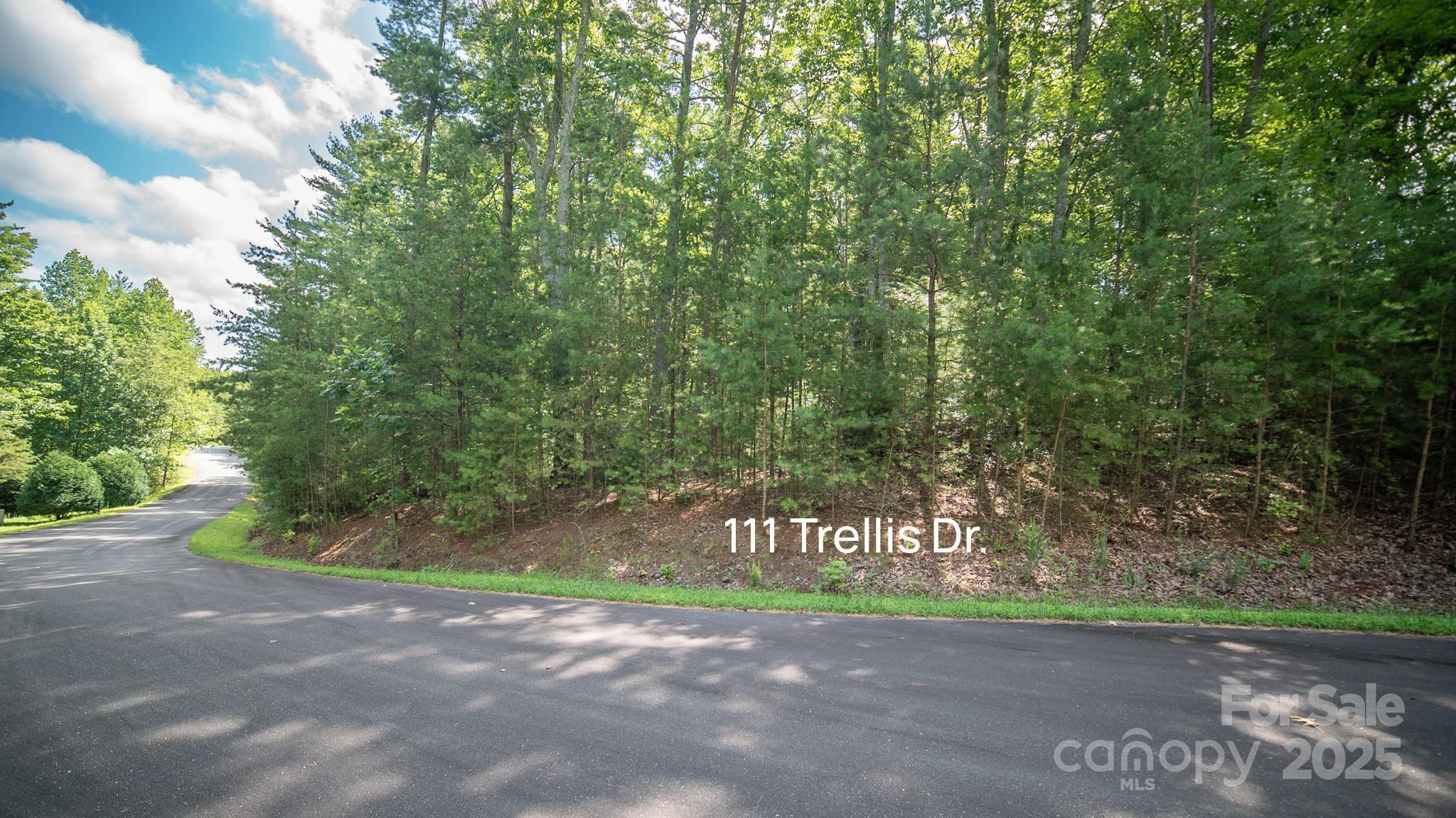 Lot 111 Trellis Drive